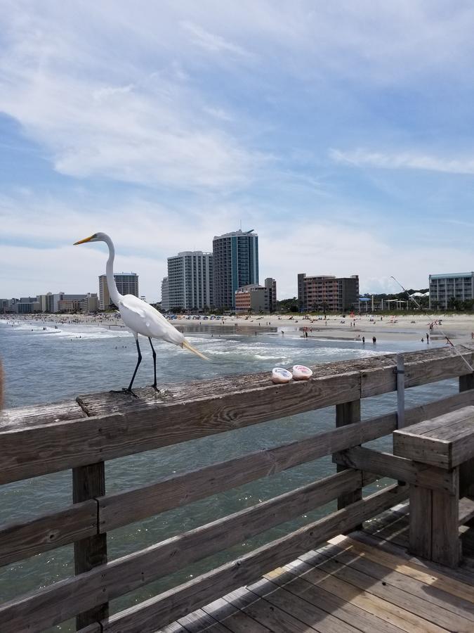 New Modern, Direct Oceanfront, Boardwalk, Views! Apartment Myrtle Beach Exterior photo